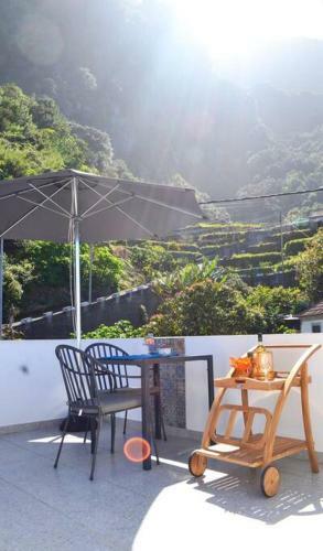 Apartamento Lazy Lizard Studio
