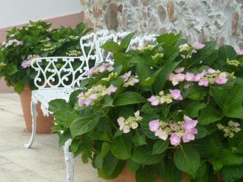 Bed & Breakfast Casa Do Sapateiro