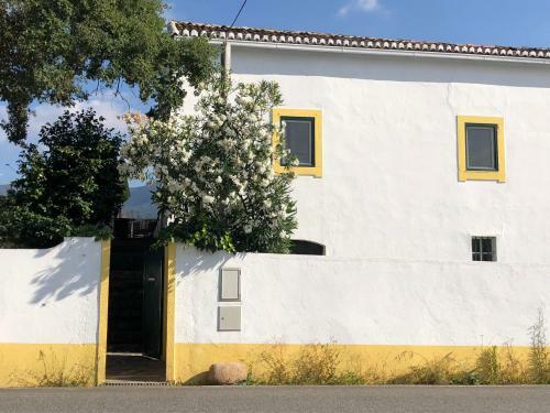 Apartamento Casa Branca