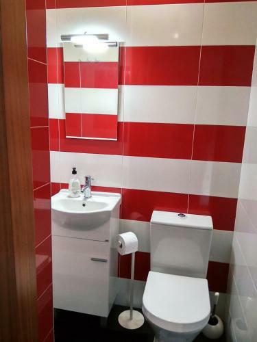 Apartamento O Terra�o Da Ribeira