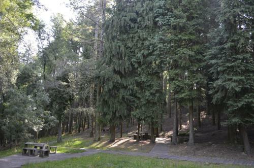 Encosta Do Douro - Rio Douro