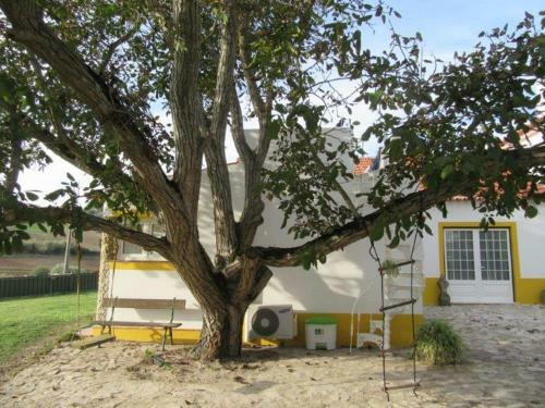 Apartamento Quintal Do Freixo - Country House