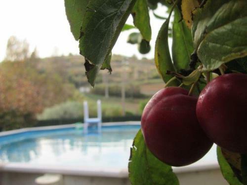 Apartamento Quintal Do Freixo - Country House