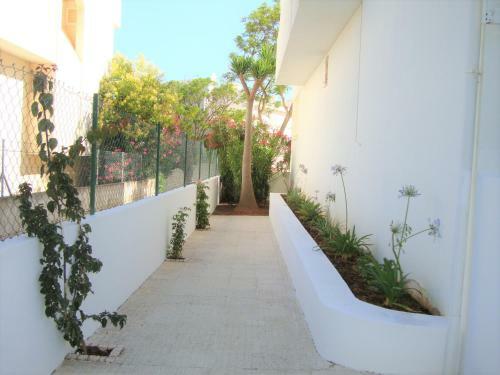 Apartamento Belinha Guest House