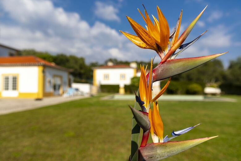 Bed & Breakfast Quinta Do P� Descal�o