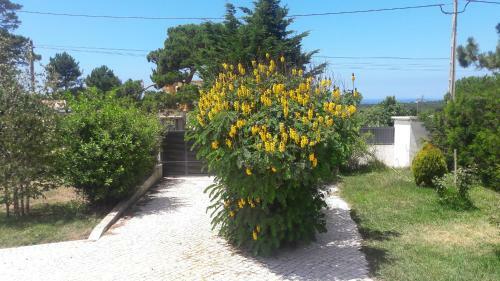 Agroturismo Sintra Vintage Caravan