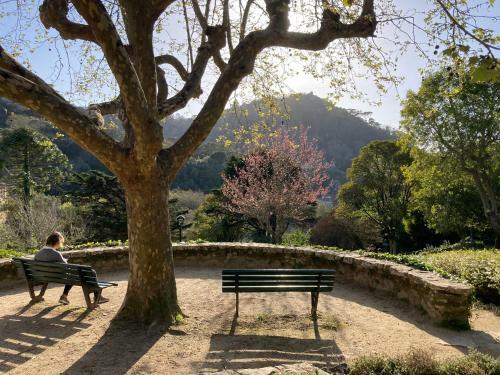 Sintra Sweet Apartment II - Free Parking