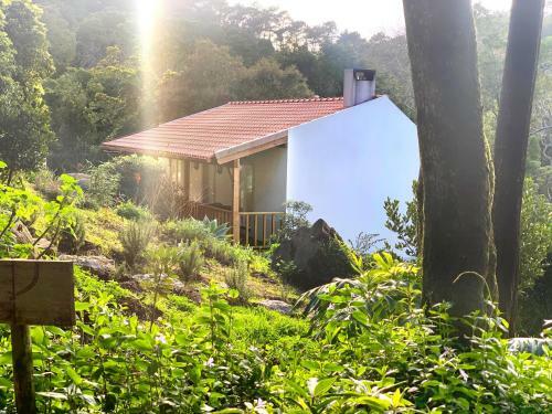 Apartamento Secluded Charm Cottage In Quinta Velha