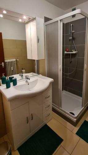 Apartamento Ferienwohnung Am Waldsee