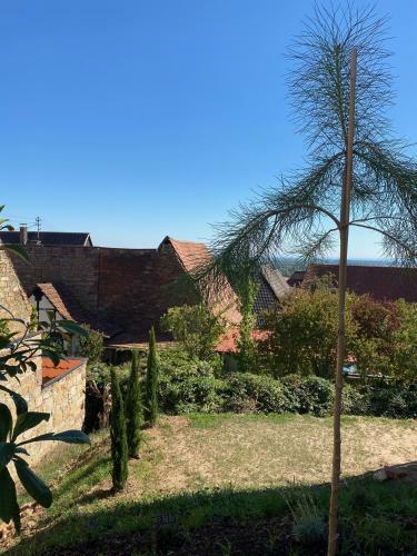 Atelier De Pfalz-loftstyl Mit Pfalzblick
