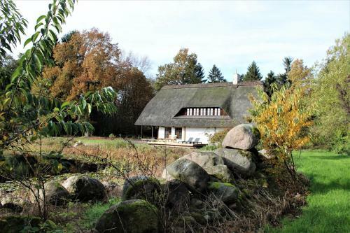 Ruhe Unter Reet - Haus Mit Sauna & Kamin Im Gr�nen