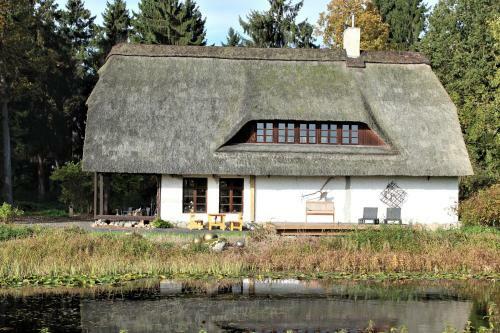 Ruhe Unter Reet - Haus Mit Sauna & Kamin Im Gr�nen