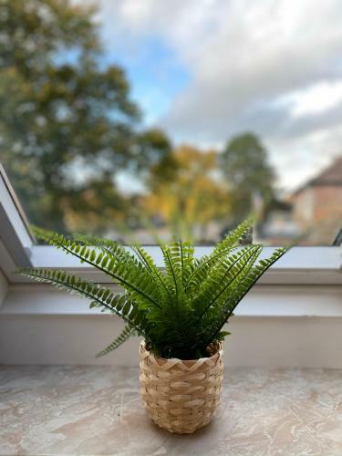 Apartamento Ferienwohnungen Gl�ckstadt