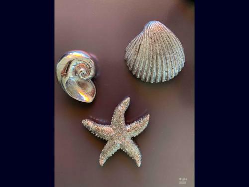 Apartamento Willkommen-gl�ckstadt