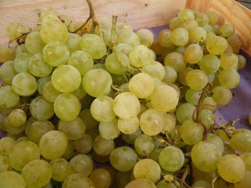 Apartamento Weingut-ferienhof Sch�fer