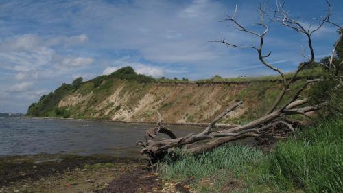 Apartamento Fewo Muschel
