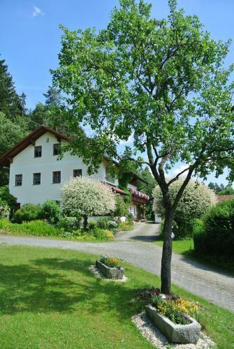 Apartamento Haus Am Waldrand - Ferienwohnung Augustin