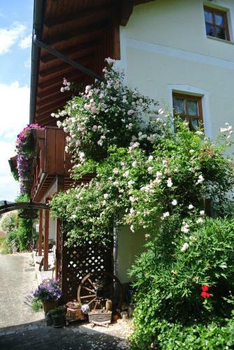 Apartamento Haus Am Waldrand - Ferienwohnung Augustin
