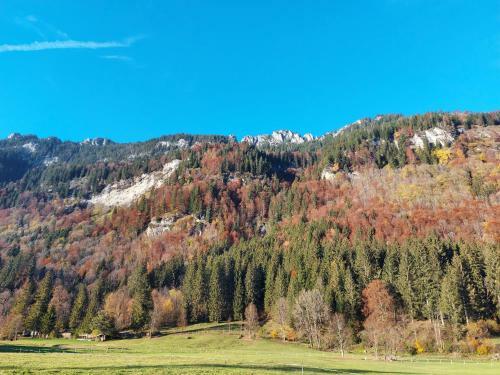 Apartamento Fewo Sonnenberg Graswang