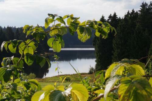 Apartamento Fewo Georgenberg