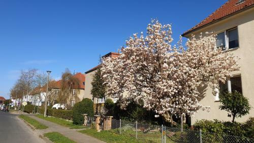 Apartamento Zimmervermietung Fam. Koltermann