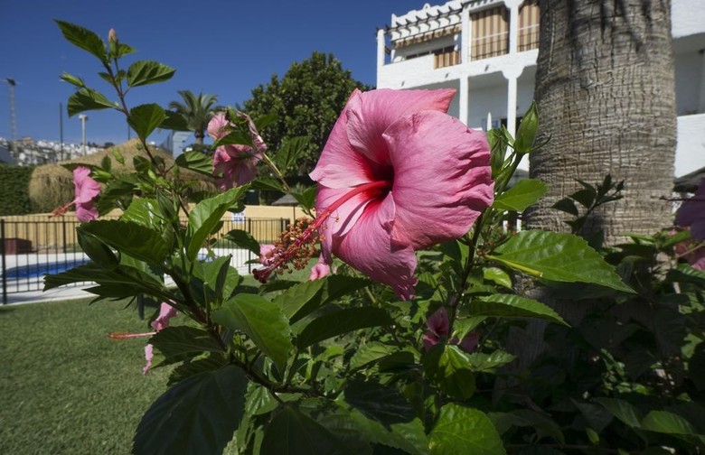 Apartamentos Turisticos Rio Marinas