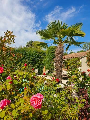 Hostal La Cabane Du Pesquier En Provence