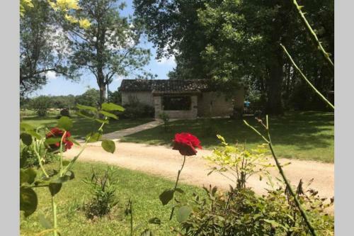 Il �tait Une Fois