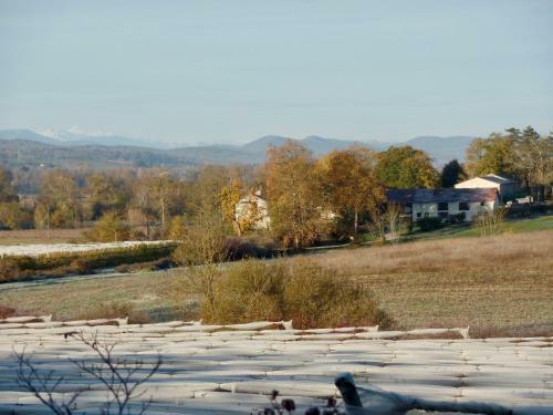 Bed & Breakfast Les Deux Flamands Et Filous