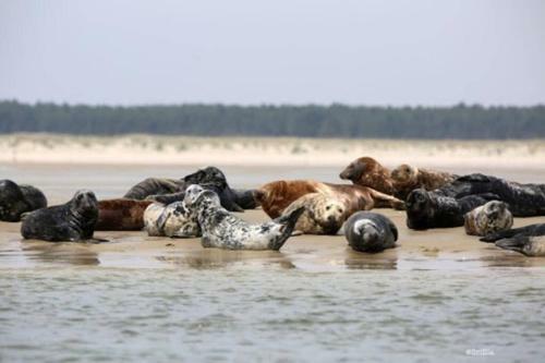 La Cabine En Baie De Somme