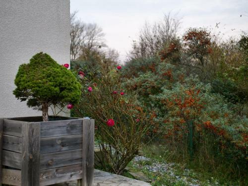 Cottage Des Pins - 6 Pers, Jacuzzi, Jardin, Parking