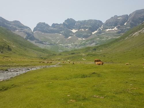 Apartamento Le Lac Bleu - Chaleureux - Calme - Emplacement Parfait
