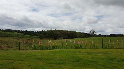 Bed & Breakfast La Thibaudiere Tilleul