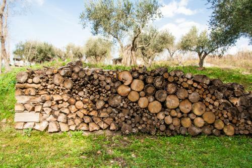 Agroturismo Villa De Luccheri