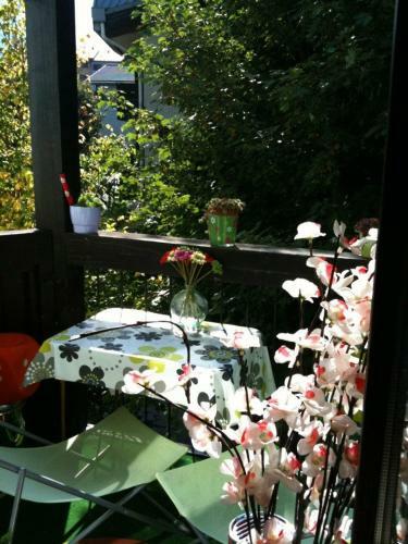 Apartamento Studio With Balcony, Mt Blanc View, Parking, Center Of Chamonix