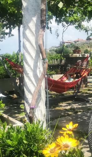 Agroturismo La Corte Di Nonno