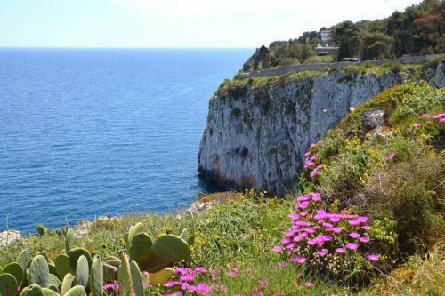 Villa Vittoria - Marina Di Novaglie