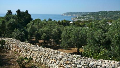 Apartamento Residenza Wild Salento