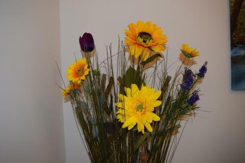 Apartamento Mc Malpensa Airport Home