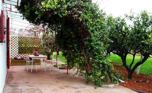 Apartamento Villa Potenza