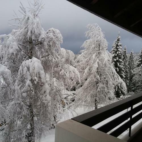 Apartamento Relax Sull'altopiano Di Asiago