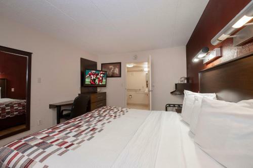 Hotel Red Roof Inn Washington Dc-lanham