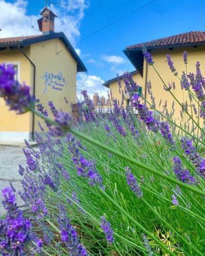Hotel Cascina Domina