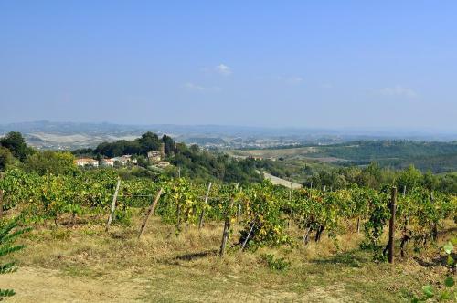 Apartamento Agriturismo Il Pino - Appartamento Querce