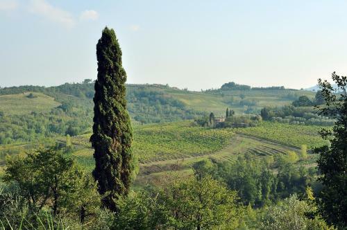 Apartamento Agriturismo Il Pino - Appartamento Querce