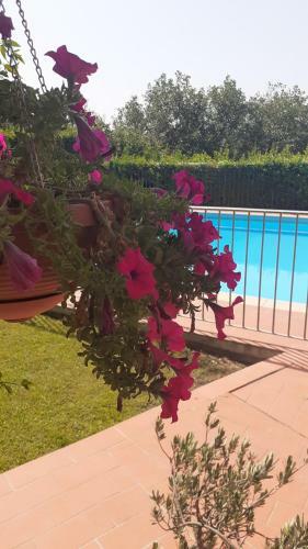 Apartamento Agriturismo Il Pino - Appartamento Querce