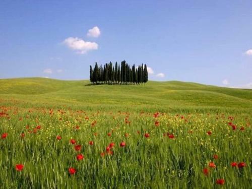 Apartamento Casetta Nel Borgo