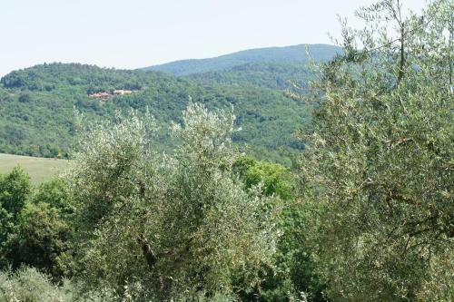 Villa Borgo La Fungaia