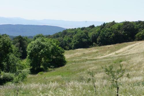 Villa Borgo La Fungaia