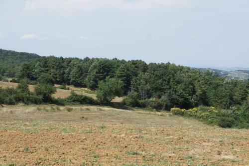 Villa Borgo La Fungaia